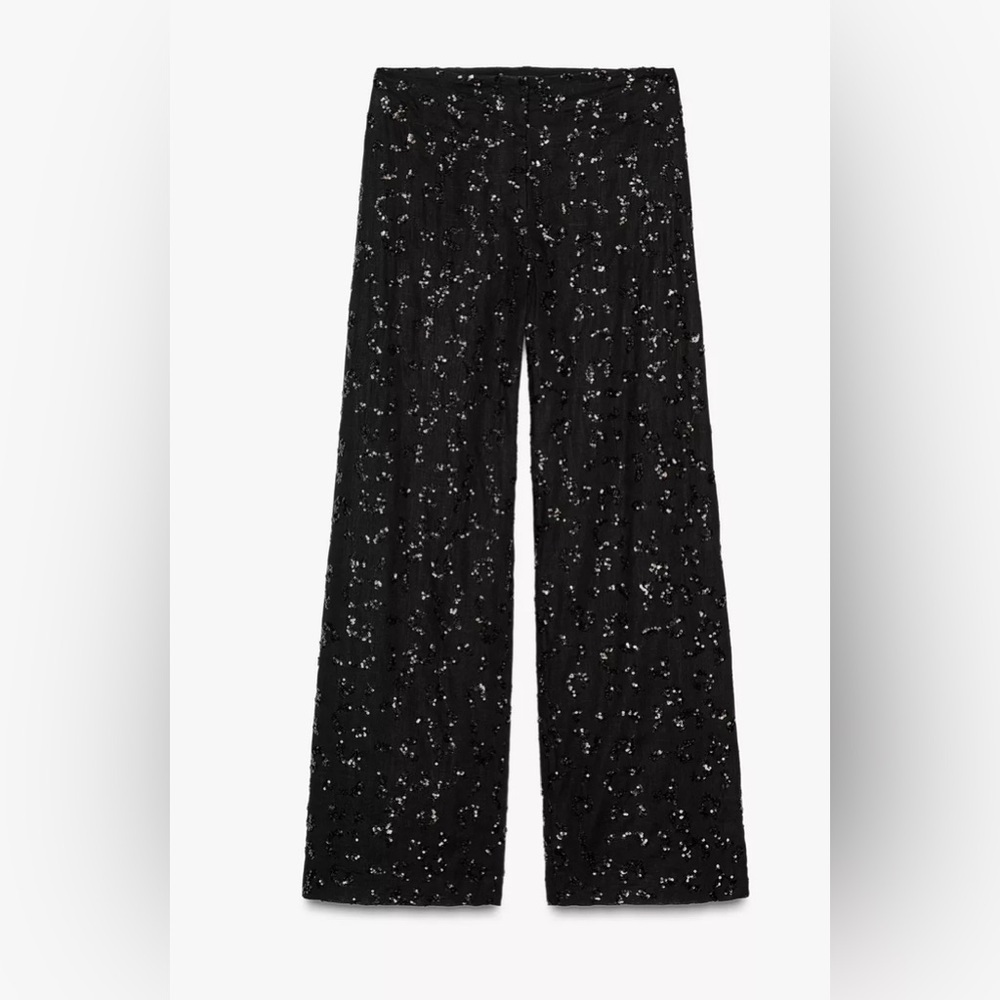 Zara sequin volume pants - Picture 2 of 3